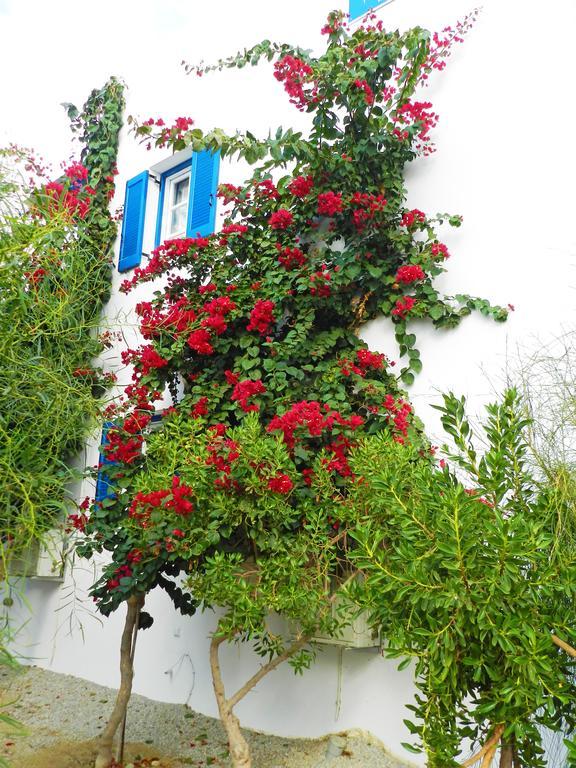 Aggelos Studios Agios Prokopios  Exterior foto